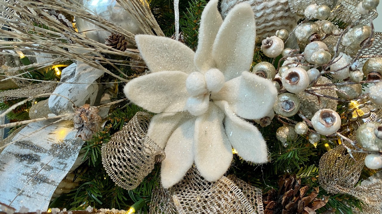 Festival of Trees orlando