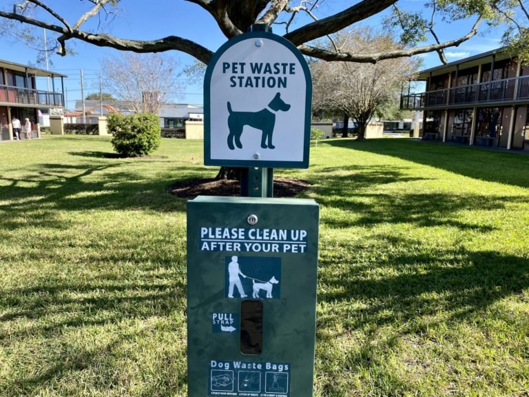 Rosen Inn International Orlando Florida