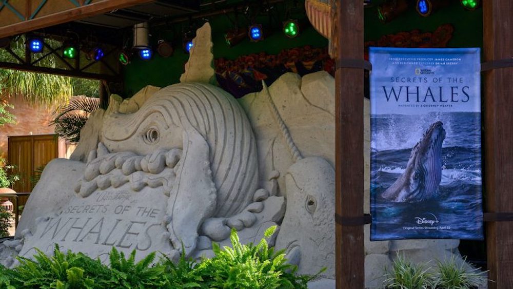 Secrets of the Whales’ Sand Sculpture Splashes into Disney’s Animal Kingdom for Earth Month