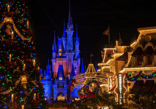 Disney World in Orlando Florida
