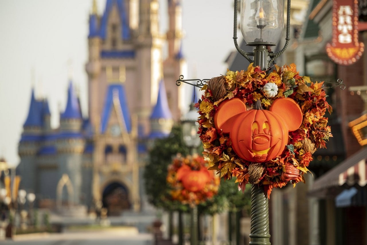 fall in love with Magic Kingdom Park all over again