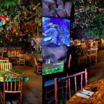 Have a great jungle experience at Rainforest Café Orlando