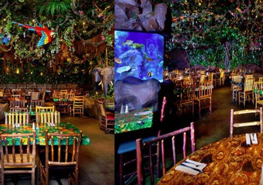 Have a great jungle experience at Rainforest Café Orlando