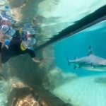 Discovery Cove Special Deal