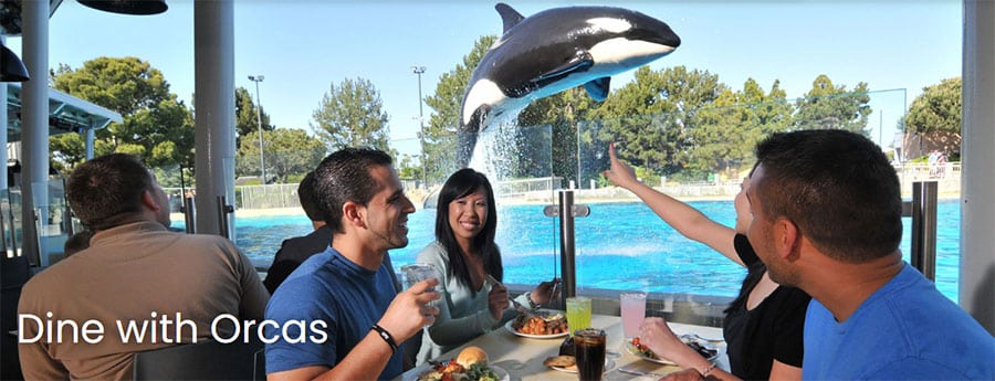 Dine with Orcas at SeaWorld