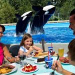SeaWorld – Dine With Shamu