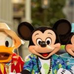 Disney World Vacation Packages