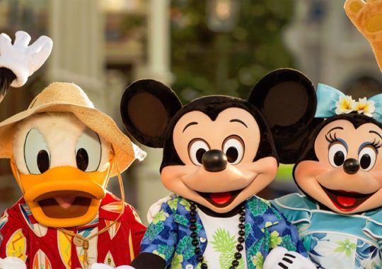 Disney World Vacation Packages