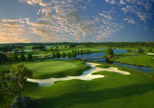 Shingle Creek Golf