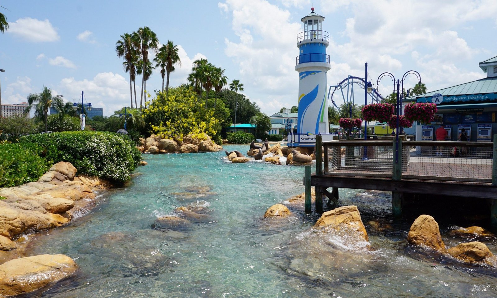 SeaWorld Orlando Right Hours