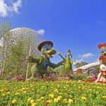 Important Tips To Know For Your Disney World Visit