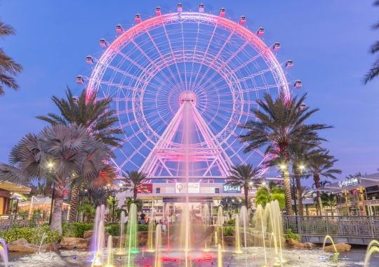 Things To Do During Your Orlando Vacation