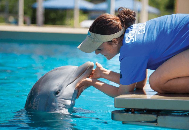 SeaWorld Orlando Adds All-New Locations to Inside Look Weekends 