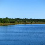 Get to know 4 of Central Florida’s beautiful State Parks