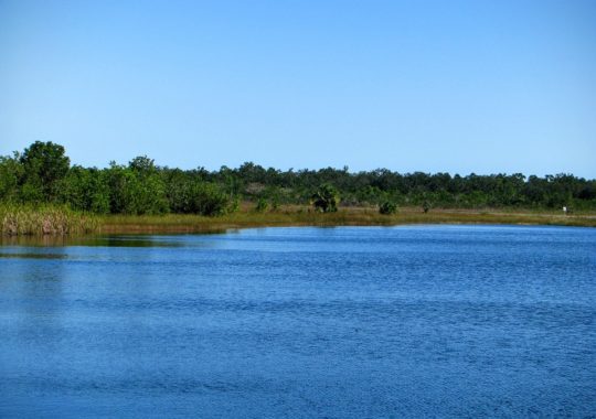 Get to know 4 of Central Florida’s beautiful State Parks