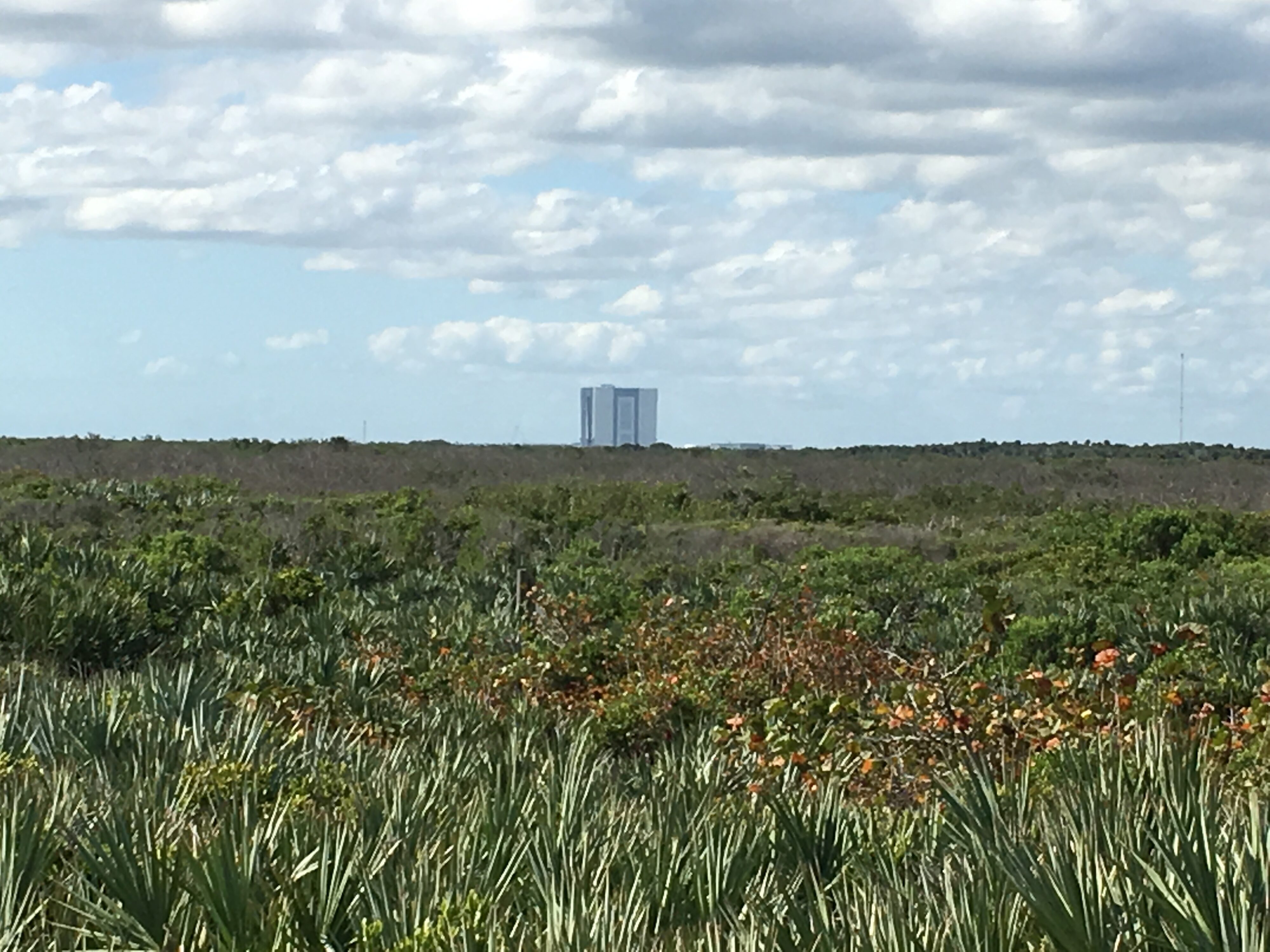 canaveral national seashore florida