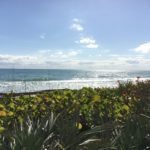 Orlando Day Trip: Canaveral National Seashore Florida