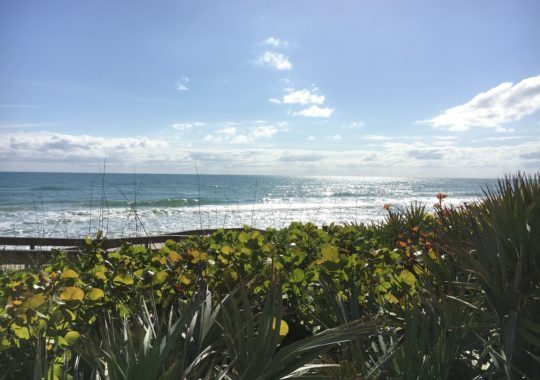 Orlando Day Trip: Canaveral National Seashore Florida