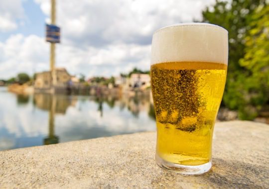 SeaWorld Orlando Teases New Roller Coaster & FREE Beer