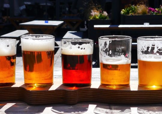 What to Expect at SeaWorld’s Craft Beer Festival