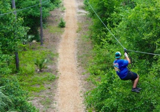 Night Climb Adventures Now Available at Orlando Tree Trek Adventure Park