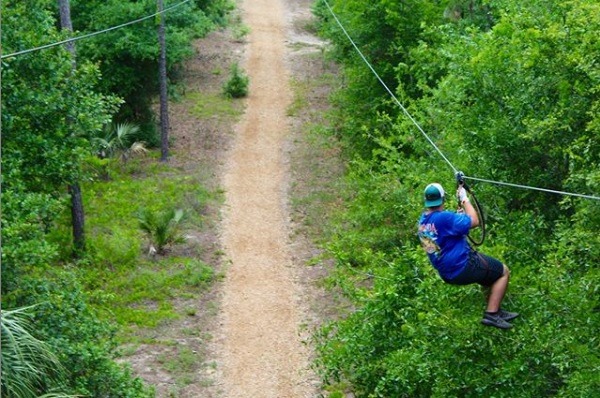 orlando tree adventure