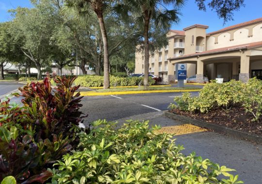 Get in on the Magic with 19 Reasons Why You Should Stay at the Best Western International Drive!