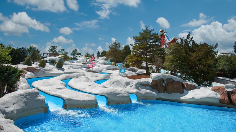 Disney’s Blizzard Beach Water Park