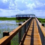 Enjoy the outdoors with Eco Tours Near Orlando Florida