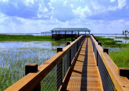 Enjoy the outdoors with Eco Tours Near Orlando Florida