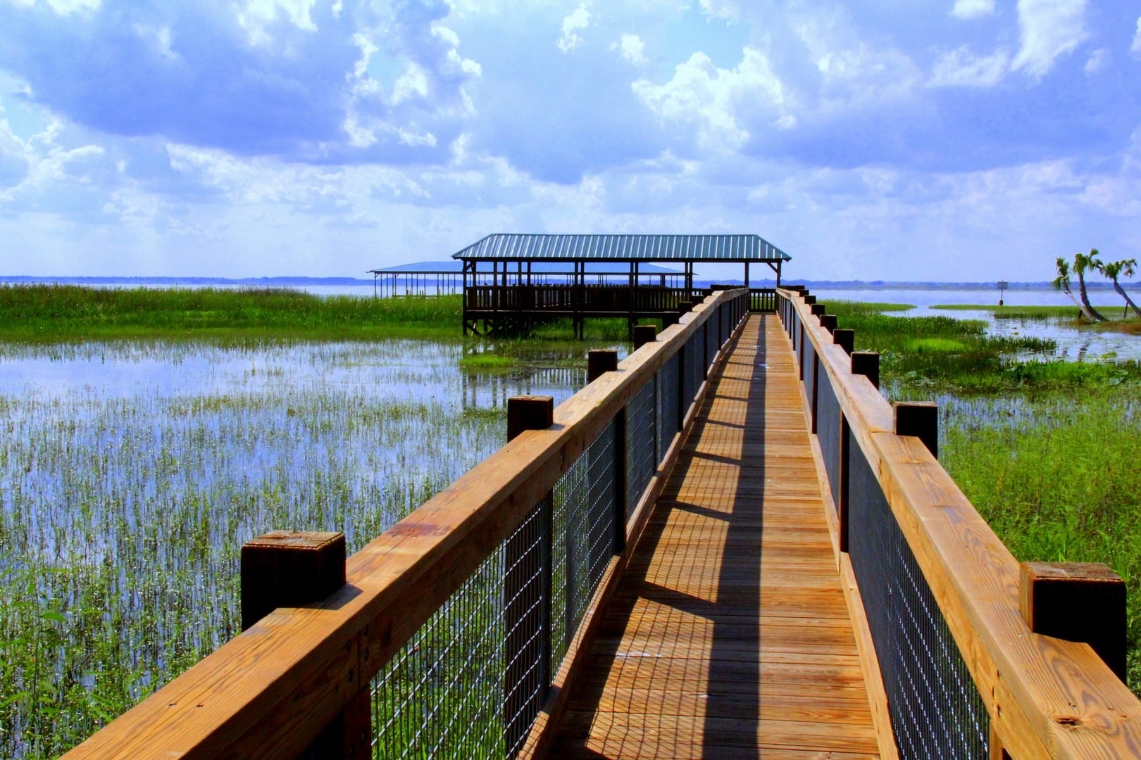 florida eco tours