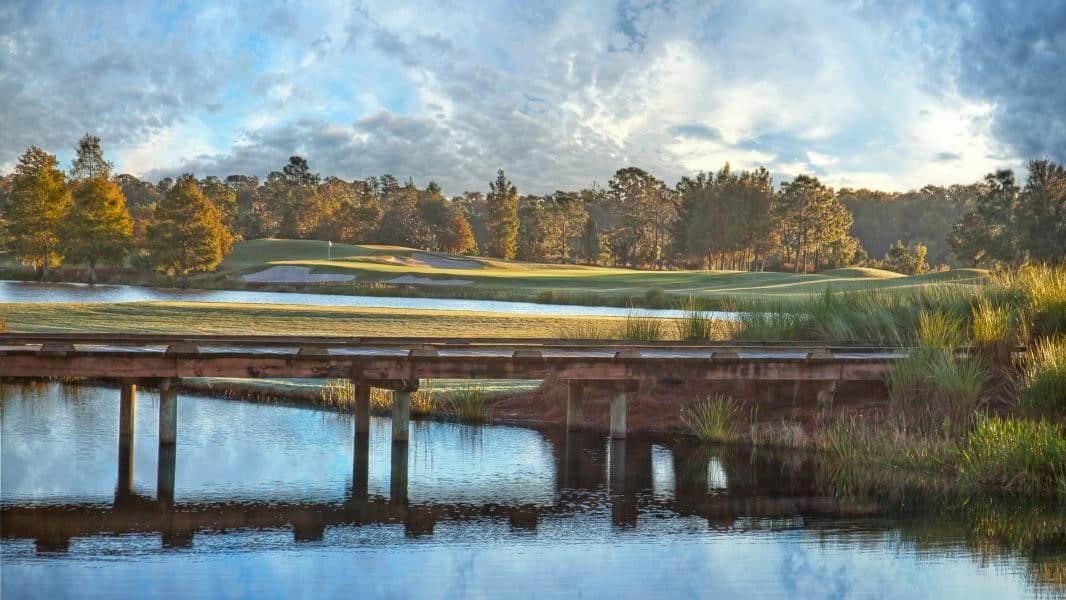 The revered Palmer legacy is preserved in Shingle Creek Golf Course's unique design challenging golfers of every level of play.