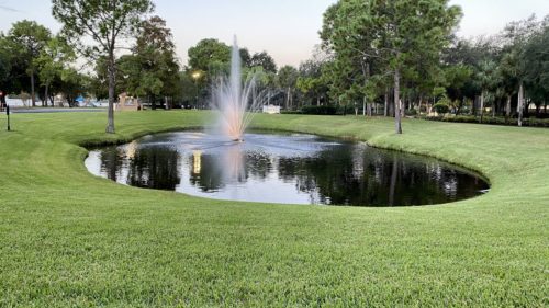 rosen inn lake buena vista surroundings