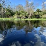 Best Parks in Orlando for Student Getaways