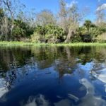 Best Reasons to Visit Wekiva Island