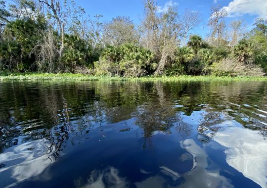 Best Reasons to Visit Wekiva Island