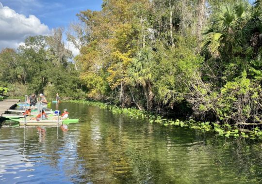 How Orlando is more of an exotic place to visit than you thought