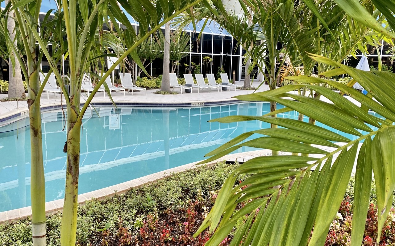 Orlando Florida | Things To Do in Orlando