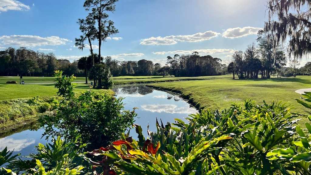 Disney's Oak Trail Golf Course in orlando must see