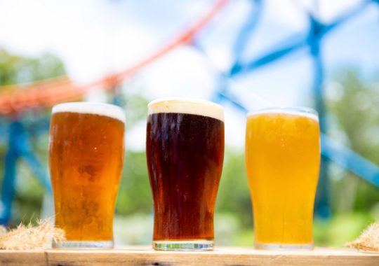 A Glimpse On The Upcoming Craft Beer Festival at SeaWorld Orlando