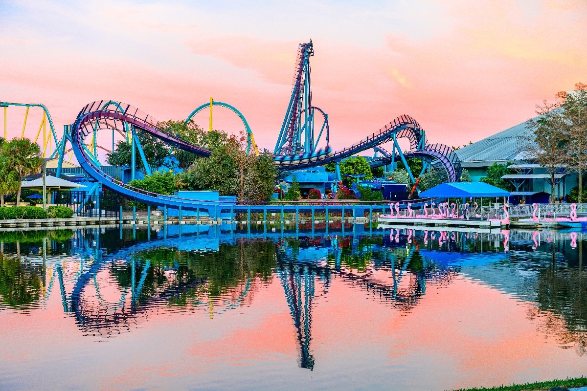 Mako at SeaWorld