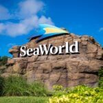 SeaWorld Orlando Launches 2023 Passes With Unbeatable Benefits, Exciting Event Lineups, And Exclusive Ride Access To “Pipeline: The Surf Coaster