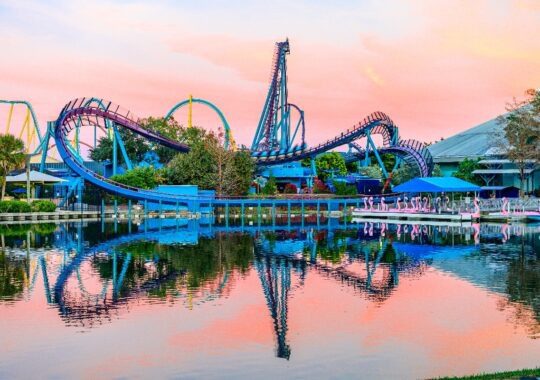 Grab The Unbeatable SeaWorld Orlando Black Friday Deals