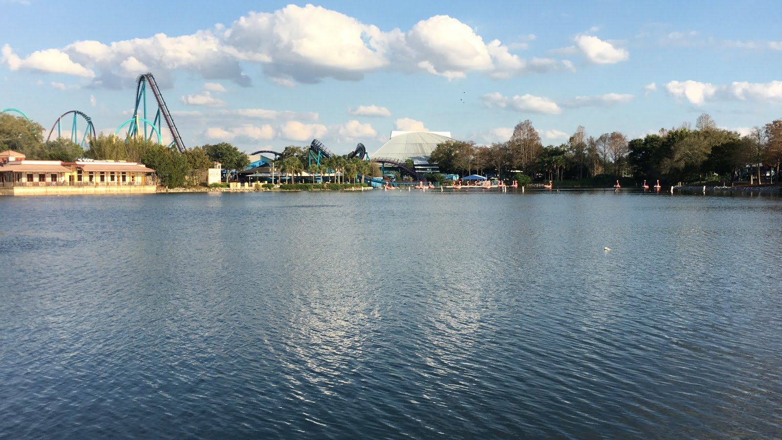 Enjoy the stunning views of Seaworld