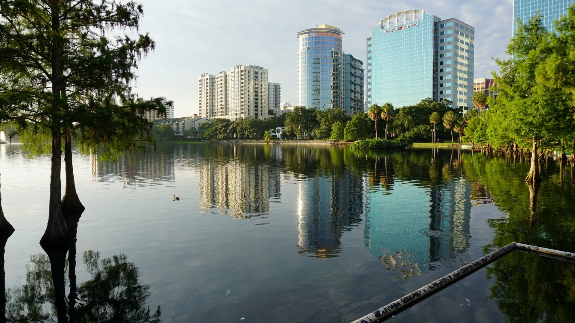 Buying Real Estate in Orlando