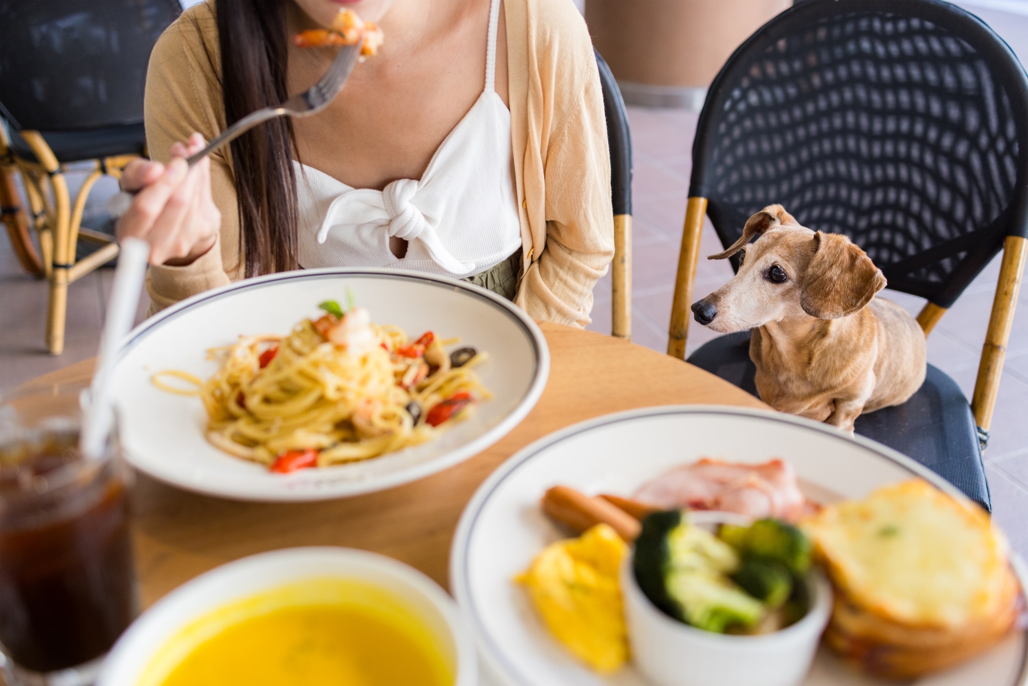 Dog Friendly Restaurant Patios in Orlando