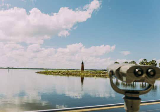 Embrace the Warmth: Kissimmee Reveals 2025 Winter Getaway Plans