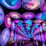 Experience the Magic of the Asian Lantern Festival: Into the Wild at the Central Florida Zoo