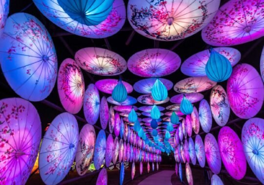 Experience the Magic of the Asian Lantern Festival: Into the Wild at the Central Florida Zoo