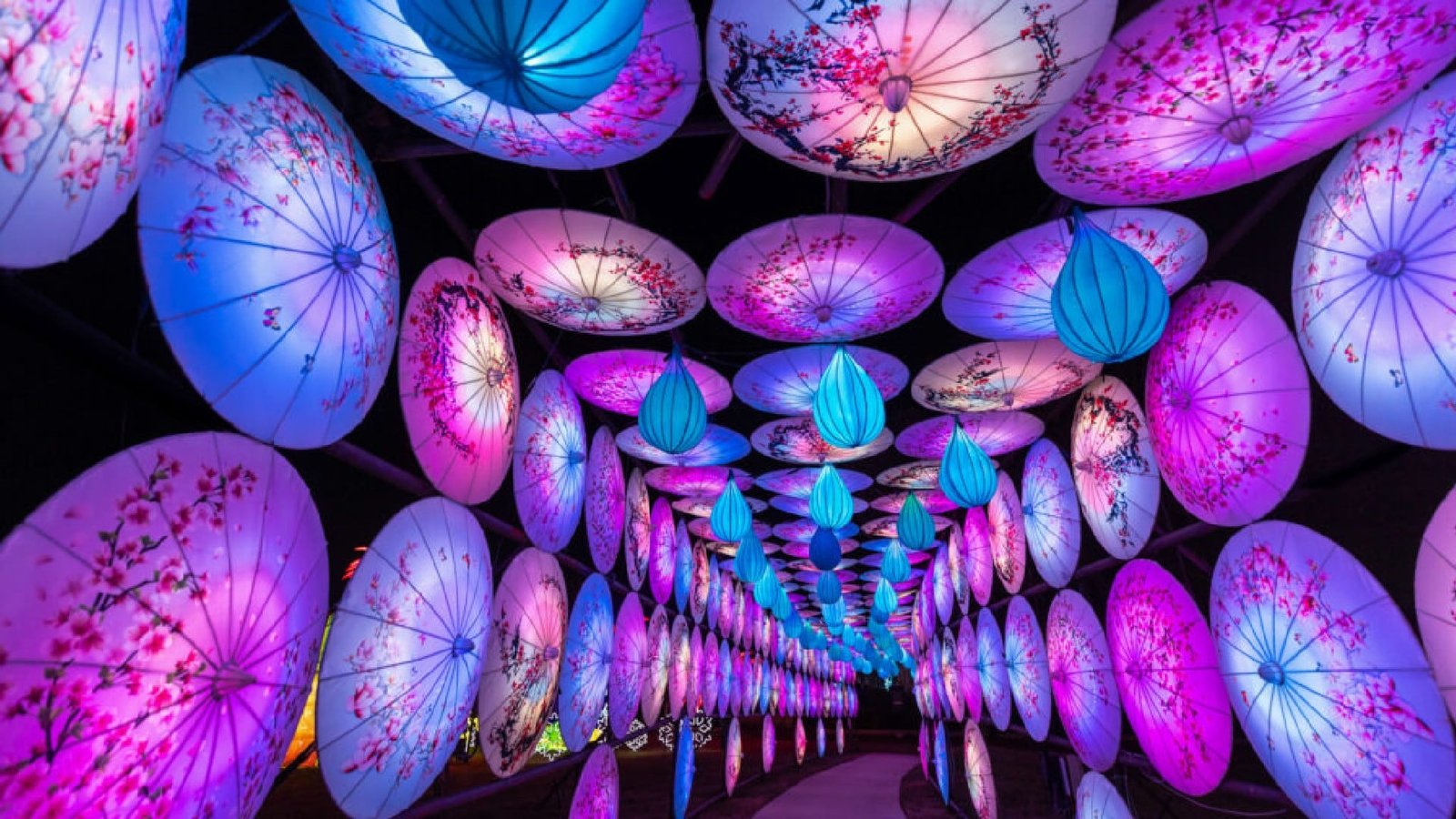 Asian Lantern Festival Orlando